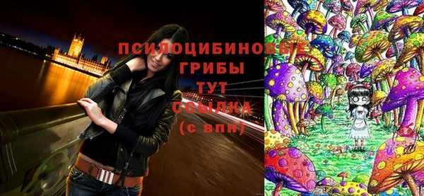 герыч Козловка