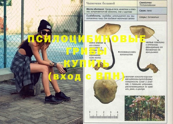 гидропоника Кодинск