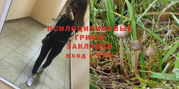 герыч Козловка