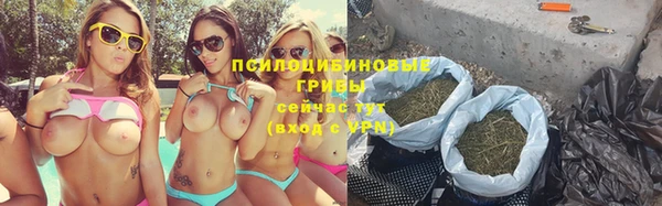 трава Козельск
